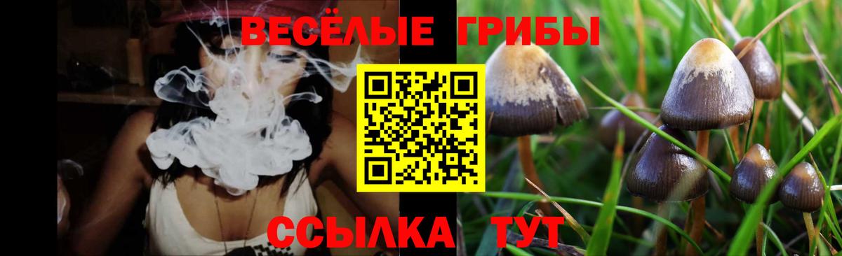 Галлюциногенные грибы Cubensis  Вход с VPN  Гудермес 